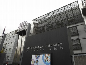 第365回伊藤努_播磨坂さくら並木の桜.jpg