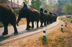 第168回 直井.jpg