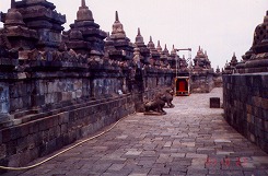 第168回 直井.jpg