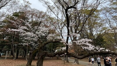 東亜学院での日本語学習