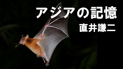 新型コロナの近縁種発見 直井謙二